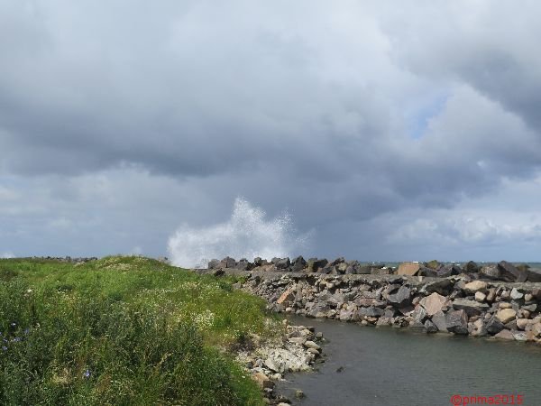 image011