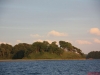 image126