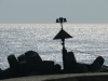 29-jpg