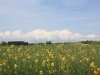 image046
