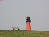 11-jpg