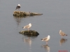 image060