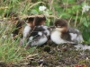 image076