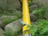 image077