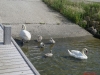 image090