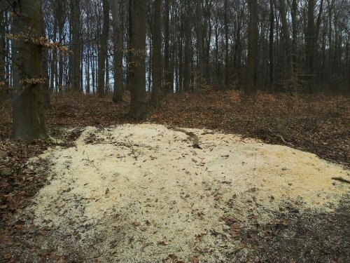 IMG-20130406-WA0000.jpg image