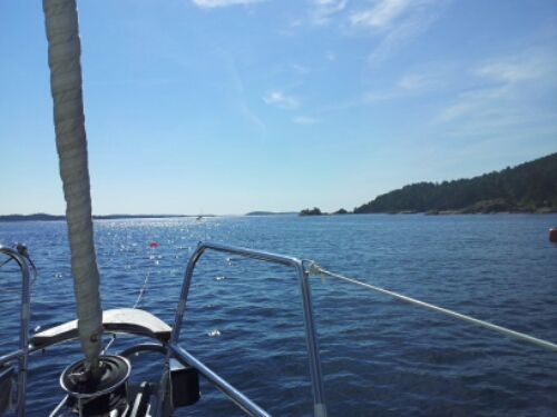 20140721_105441.jpg image