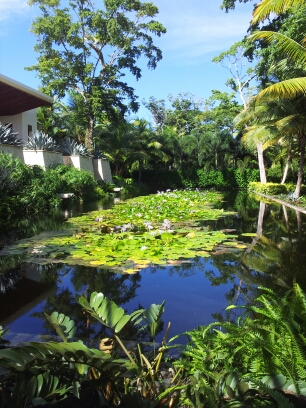 20141019_142533.jpg image