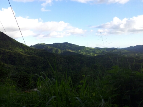 20141022_165017.jpg image