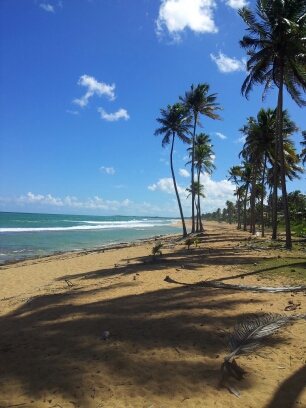20141023_105314.jpg image