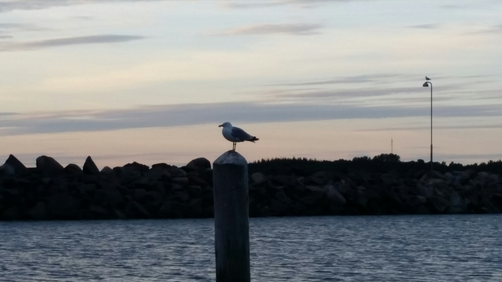 20150711_211100.jpg image