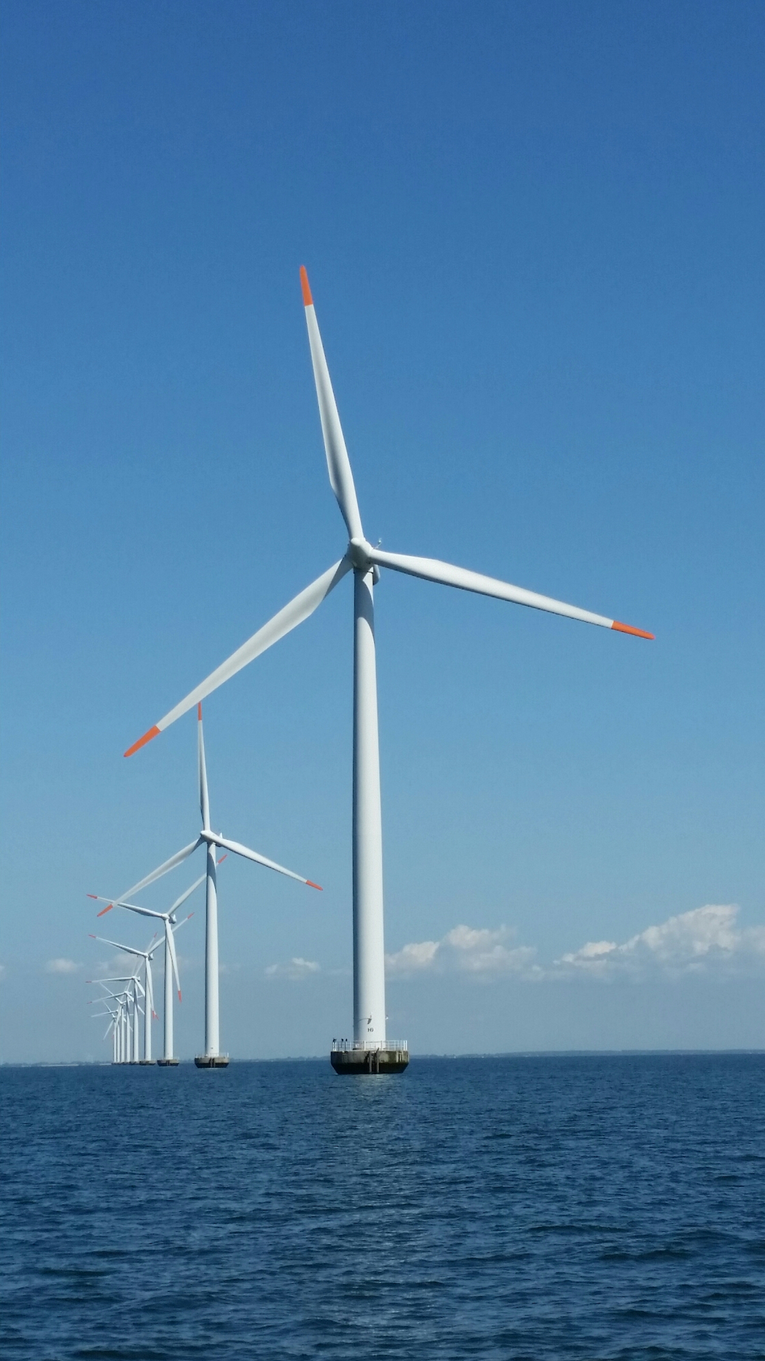 20150722_114513.jpg image